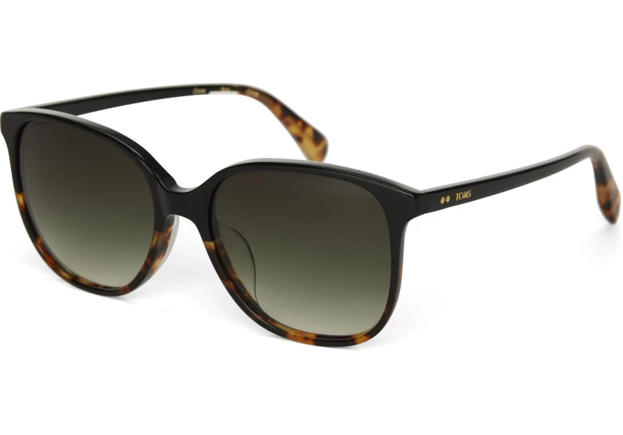 TOMS Black Tortoise-Olive Gradient Handcrafted Sunglasses – Sandela Fade Style